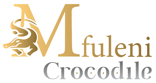 Mfuleni Crocodile